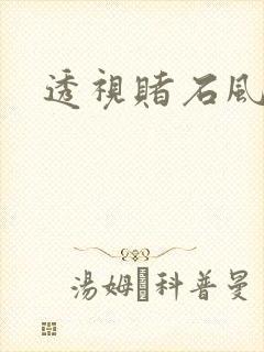 透视赌石风云