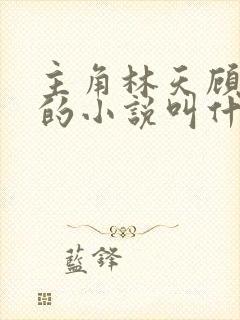 主角林天顾悦瑶的小说叫什么