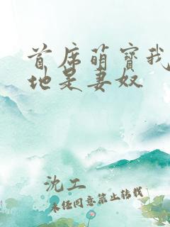 首席萌宝我家爹地是妻奴