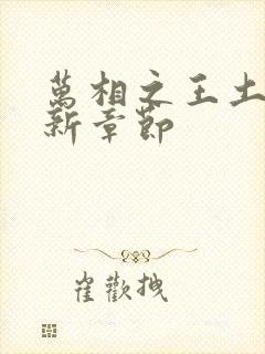 万相之王土豆最新章节