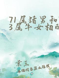 71属猪男和73属牛女相配吗