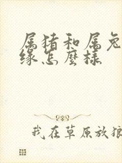 属猪和属兔的姻缘怎么样