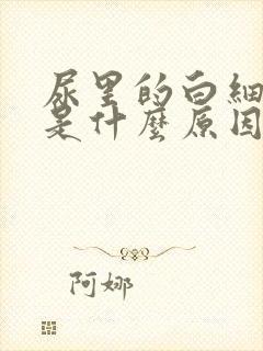 尿里的白细胞高是什么原因