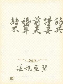 结婚前借的钱算不算夫妻共同债务