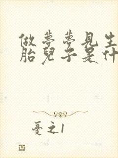 做梦梦见生双胞胎儿子是什么寓意