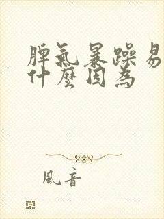 脾气暴躁易怒是什么因为