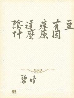 阴道痒有豆腐渣什么原因