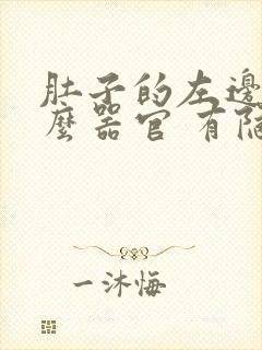 肚子的左边是什么器官 有隐隐的疼