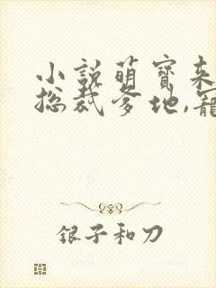 小说萌宝来袭:总裁爹地,宠上天