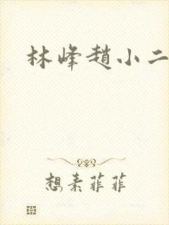 林峰赵小二最新