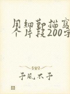 用细节描写写一个片段200字