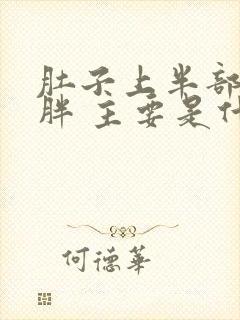 肚子上半部分肥胖 主要是什么原因