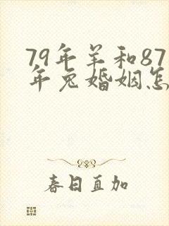 79年羊和87年兔婚姻怎么样