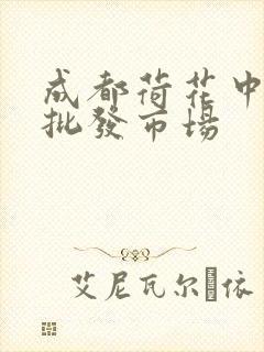 成都荷花中药材批发市场