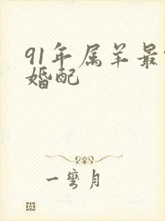 91年属羊最佳婚配