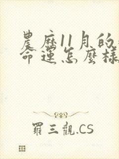 农历11月的鸡命运怎么样