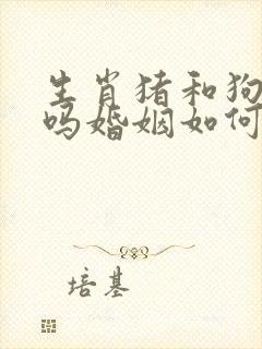 生肖猪和狗相配吗婚姻如何