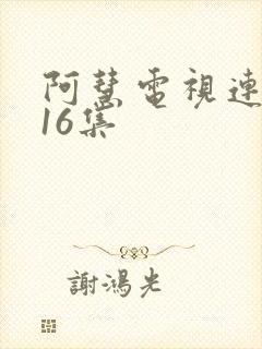 阿慧电视连续剧16集