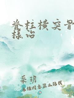 脊柱横突骨折怎样治