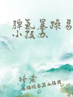 脾气暴躁易怒的小孩办