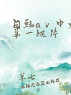 日韩aⅴ中文字幕一级片