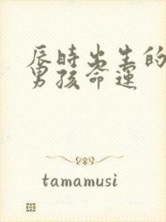 辰时出生的属马男孩命运