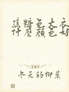 焦糖色大衣内搭什么颜色好看