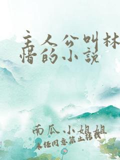 主人公叫林凡叶惜的小说