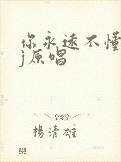 你永远不懂我dj原唱