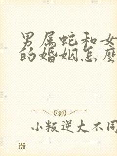 男属蛇和女属兔的婚姻怎么样