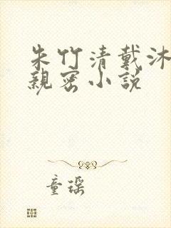 朱竹清戴沐白的亲密小说