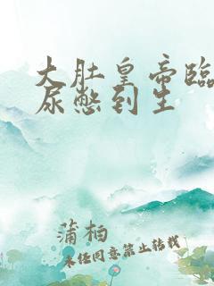 大肚皇帝临产憋尿憋到生