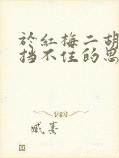 于红梅二胡演奏挡不住的思念