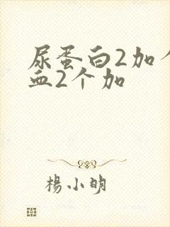 尿蛋白2加个潜血2个加