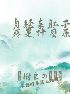 月经来肚子特别疼是什么原因