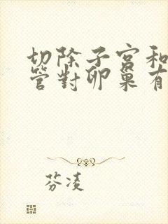 切除子宫和输卵管对卵巢有影响吗