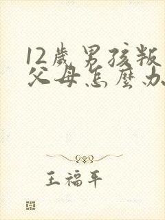 12岁男孩叛逆父母怎么办