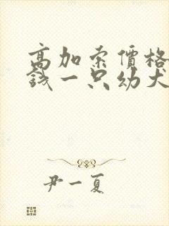 高加索价格多少钱一只幼犬