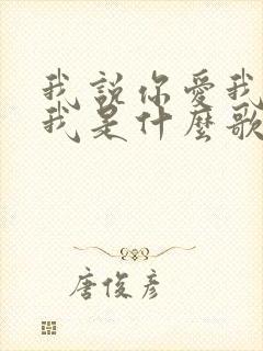 我说你爱我你想我是什么歌