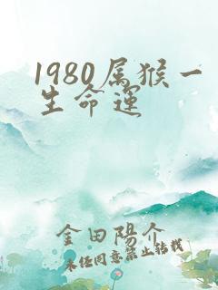 1980属猴一生命运