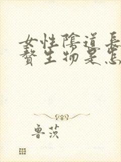 女性阴道长小肉赘生物是怎么回事