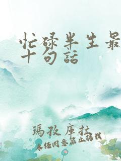 忙碌半生最经典十句话