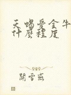 天蝎爱金牛女到什么程度
