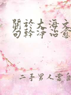 关于大海文案短句干净治愈