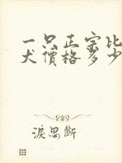 一只正宗比熊幼犬价格多少钱