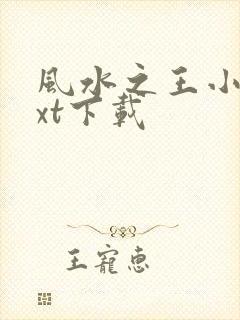 风水之王小说txt下载