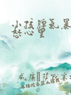 小孩脾气暴躁易怒心里