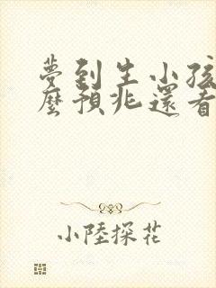 梦到生小孩有什么预兆还看见孩子