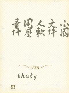 看同人文小说用什么软件国外