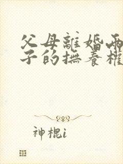 父母离婚两个孩子的抚养权怎么判定